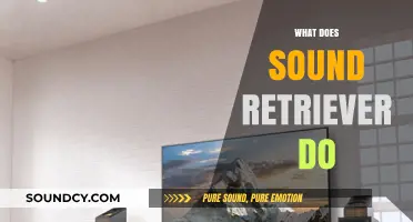Understanding Sound Retriever: Enhancing Audio Quality and Clarity Explained