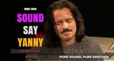 Yanny vs Laurel: Decoding the Viral Sound Debate and Its Science
