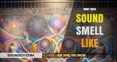 Exploring Synesthesia: Unraveling the Scent of Sound Waves and Notes