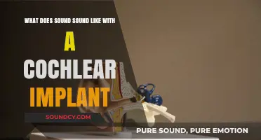 Hearing Through a Cochlear Implant: What Does Sound Really Sound Like?