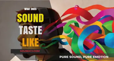 Exploring Synesthesia: Decoding the Taste of Sound Waves