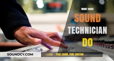 Exploring the Role of a Sound Technician: Duties and Skills