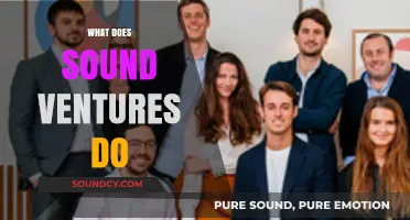 Exploring Sound Ventures: Services, Impact, and Investment Strategies Revealed