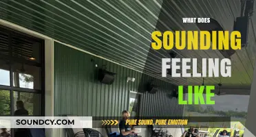 Exploring the Sensations: What Does Sounding Really Feel Like?