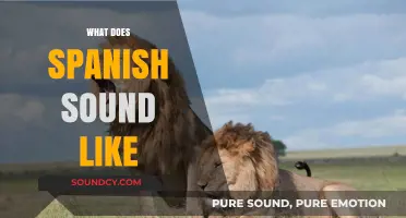 Exploring the Unique Rhythms and Melodies of the Spanish Language