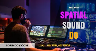 Understanding Spatial Sound: Enhancing Immersion and Realism in Audio Experiences