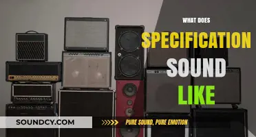 Decoding Specifications: The Auditory Experience of Technical Details Explained