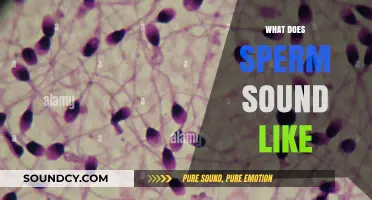 Unveiling the Unexpected: What Does Sperm Sound Like Under a Microscope?