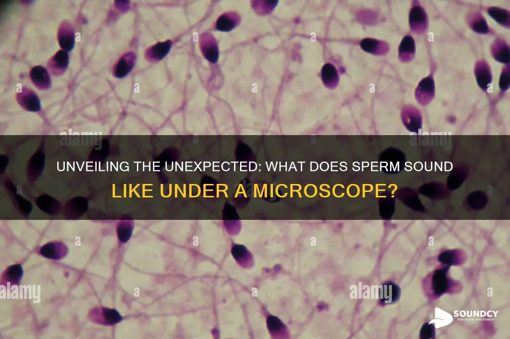 what does sperm sound like