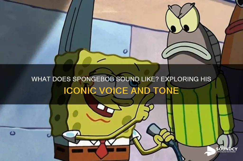 what does spongebob sound like