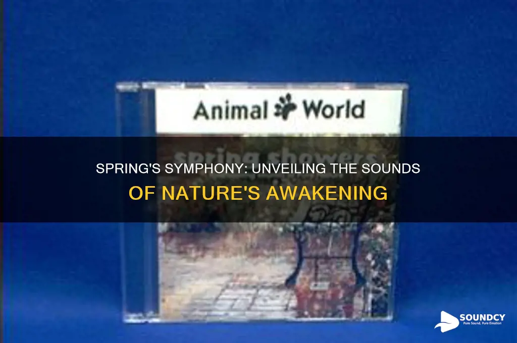 what does spring sound like