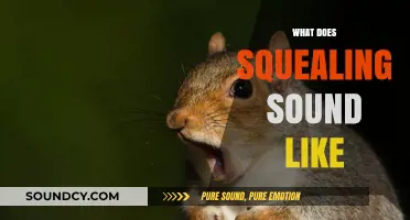 Understanding the Distinctive Squealing Sound: Characteristics and Common Causes
