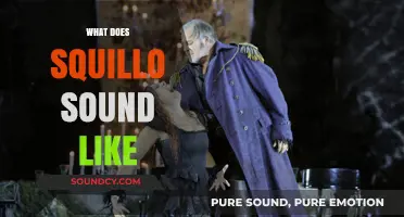 Exploring the Unique Sound of Squillo in Opera Singing