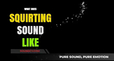 Unveiling the Mystery: What Does Squirting Sound Like?
