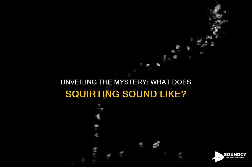 what does squirting sound like