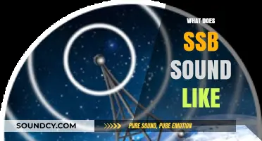 Exploring the Unique Sounds of SSB Radio Communication