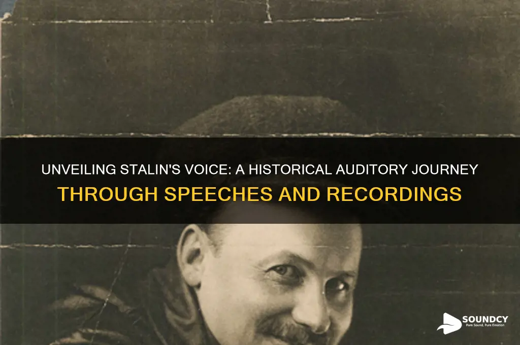 what does stalin sound like