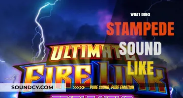 The Thunderous Roar: Unveiling the Sonic Power of a Stampede