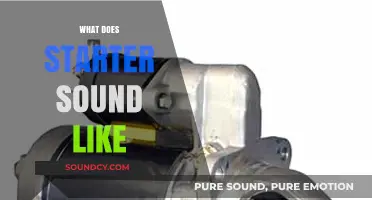 What Does a Starter Sound Like? Decoding Car Ignition Noises