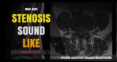 Understanding Stenosis: Identifying the Unique Sounds of a Narrowed Spine
