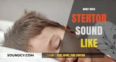 Understanding Stertor: What Does This Snoring-Like Sound Actually Mean?