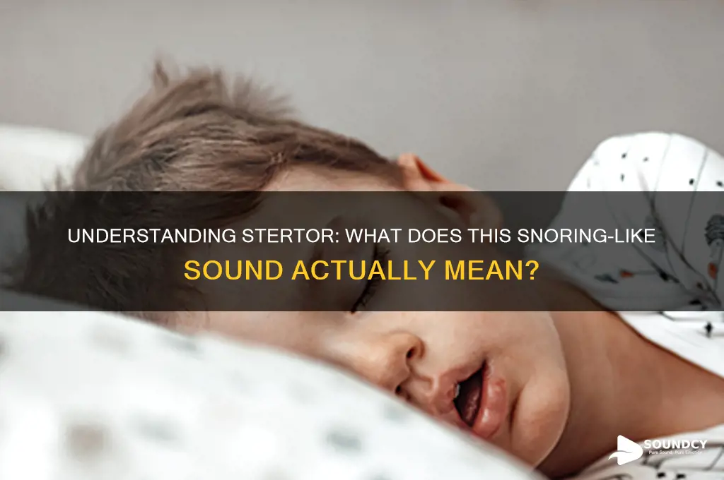 what does stertor sound like