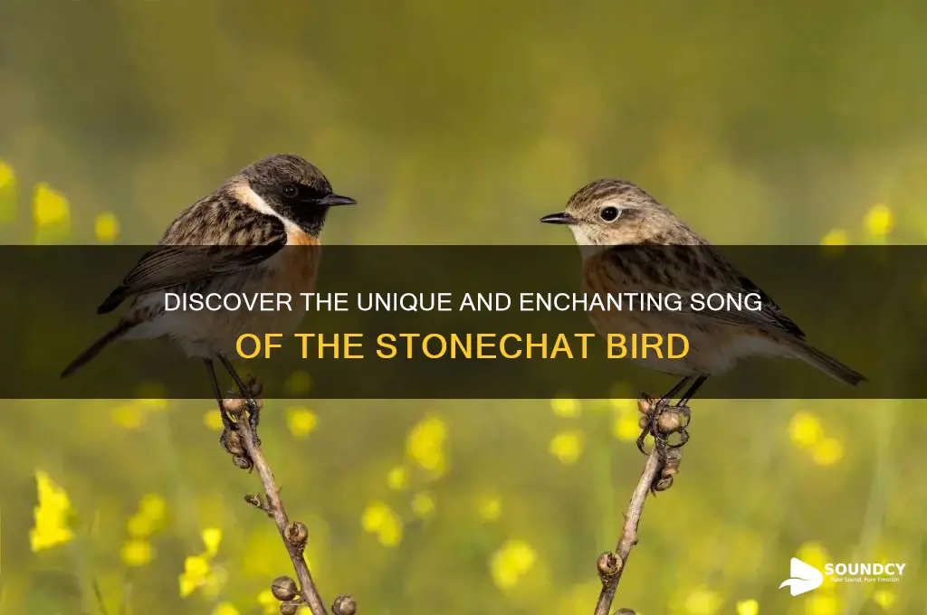 what does stonechat sound like