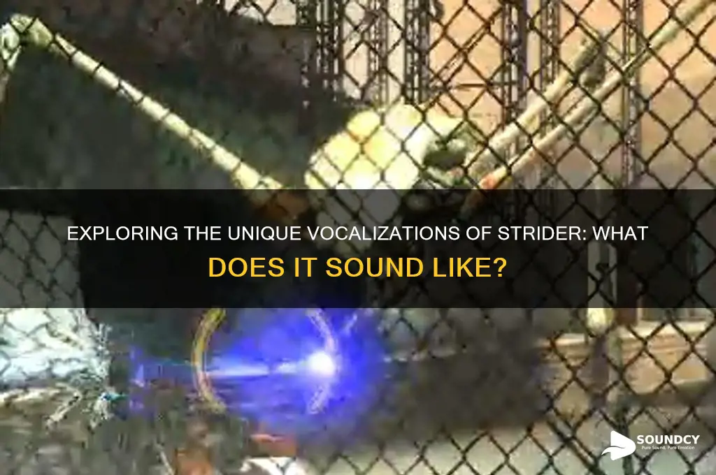 what does strider sound like