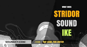 Understanding Stridor: What Does This Distinctive Breathing Sound Indicate?