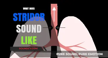 Understanding Stridor: What Does This Distinctive Breathing Sound Indicate?