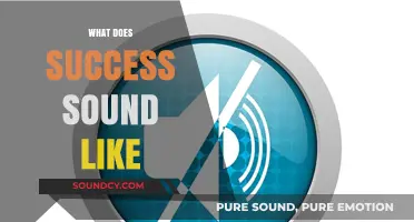 What Does Success Sound Like? Decoding the Audible Signs of Achievement