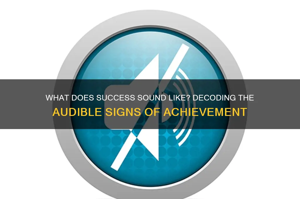 what does success sound like