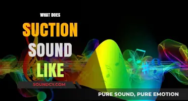 Unveiling the Unique Auditory Experience of Suction Sounds