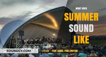 Summer's Symphony: Capturing the Sounds of Sun-Soaked Seasons