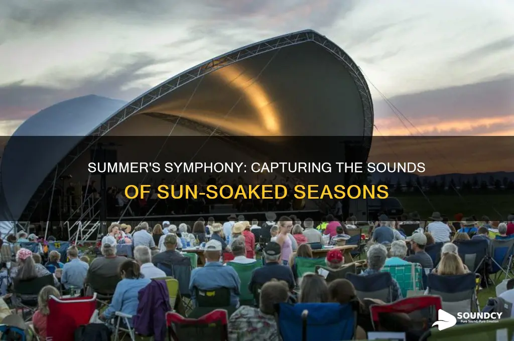 what does summer sound like