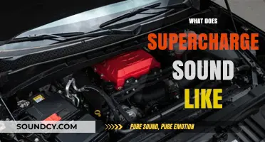 The Roaring Symphony: Unveiling the Distinctive Sound of a Supercharger