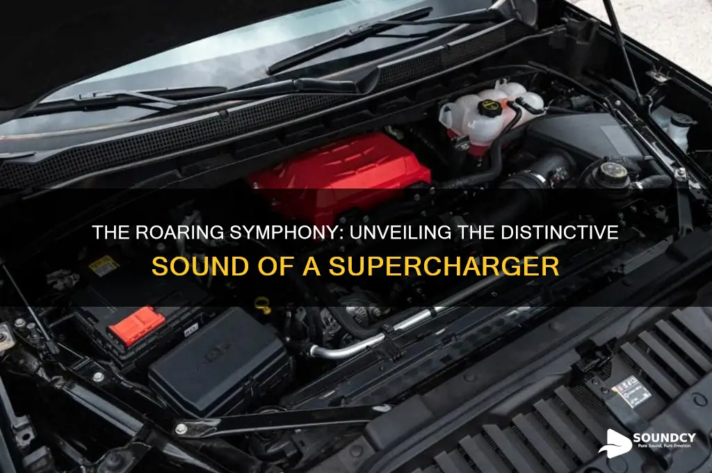 what does supercharger sound like