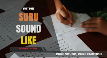Exploring the Unique Pronunciation and Sonic Qualities of 'Suru' in Japanese