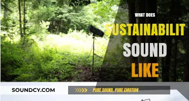 What Does Sustainability Sound Like: Exploring the Auditory Side of Eco-Conscious Living