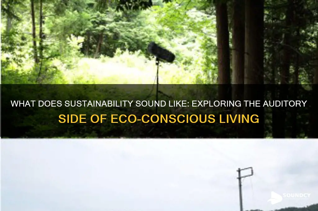 what does sustainability sound like