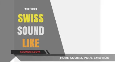 Exploring the Unique Sounds and Accents of Swiss Languages and Dialects
