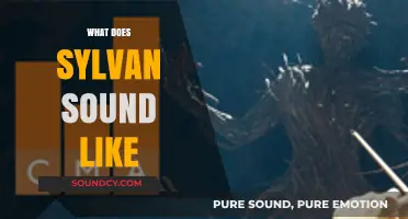 Exploring the Mystical, Whispering Tone of Sylvan's Enchanting Soundscape
