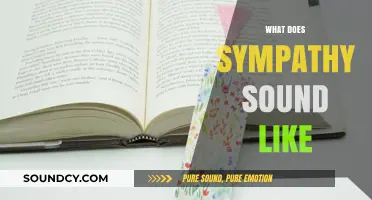 The Audible Embrace: Decoding the Tone of Sympathy in Words