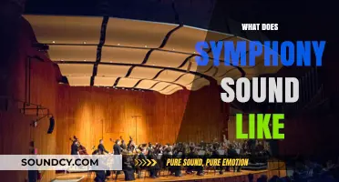 Exploring the Majestic, Harmonious, and Emotional Sounds of Symphony