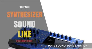 Exploring the Unique Sonic Palette: What Does a Synthesizer Sound Like?