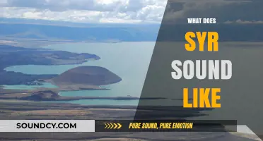 Exploring the Unique Sound of Syr: A Sonic Journey