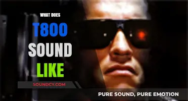 Unveiling the Iconic Voice of the T-800: A Sonic Analysis