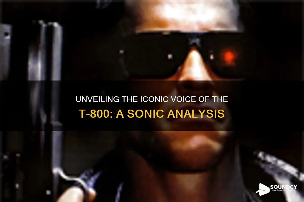 what does t800 sound like