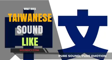Exploring the Unique Sounds and Tones of Taiwanese Language and Speech