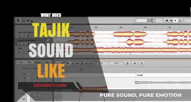 Exploring the Unique Melody and Rhythm of the Tajik Language